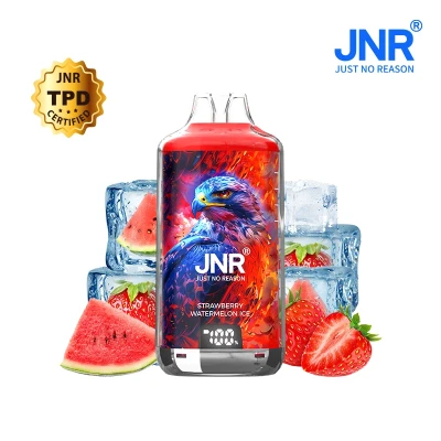 JNR Falcon X⁺ (Falcon X Plus) 28000 Puffs - Kit Pod Remplissable et Rechargeable